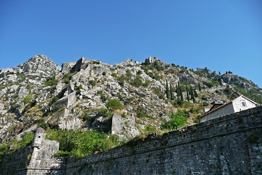 Studios Belvi Kotor Exteriör bild