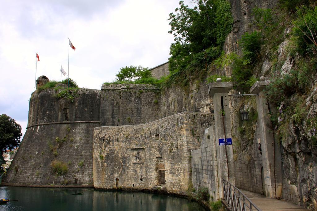 Studios Belvi Kotor Exteriör bild